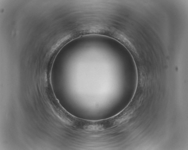 X0000062140251200512091222