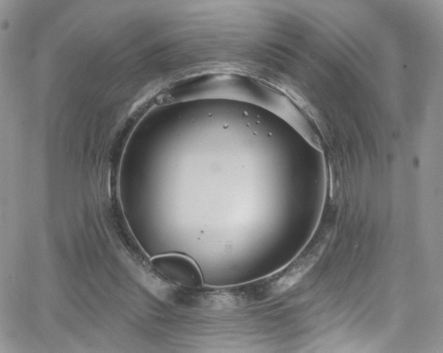 X0000062140253200512091222