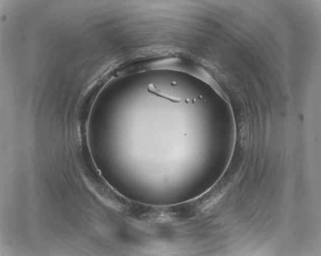 X0000062140254200512091222