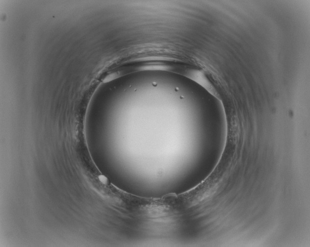 X0000062140255200512091222