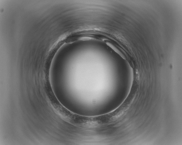 X0000062140256200512091222