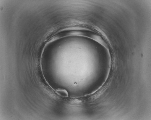 X0000062140257200512091222