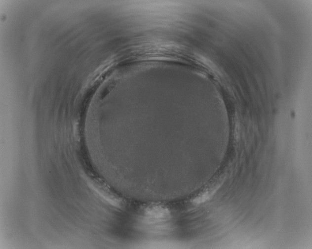 X0000062140258200512091222