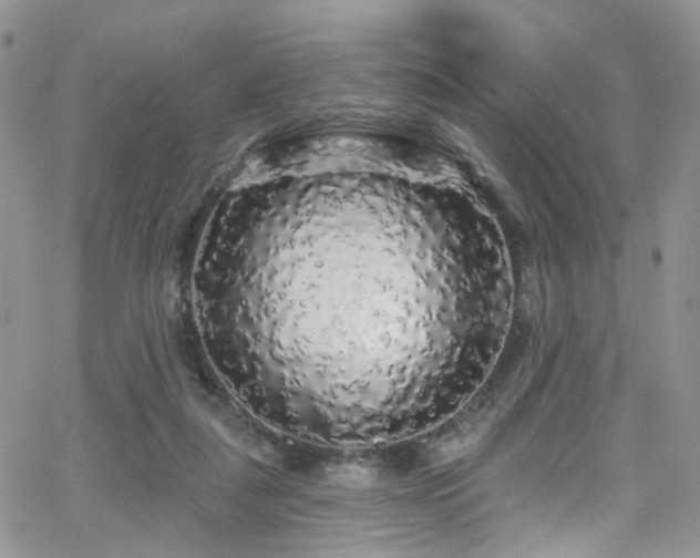 X0000062140259200512091222