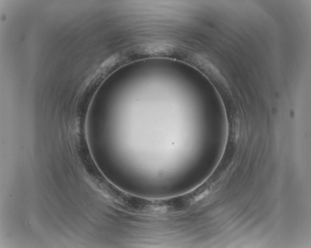 X0000062140260200512091222