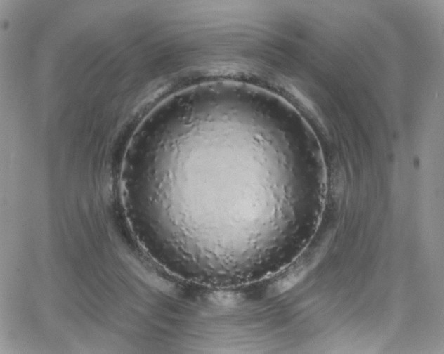 X0000062140261200512091222