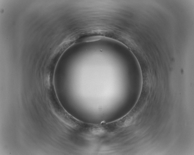 X0000062140262200512091222