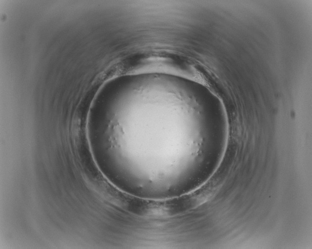 X0000062140263200512091222