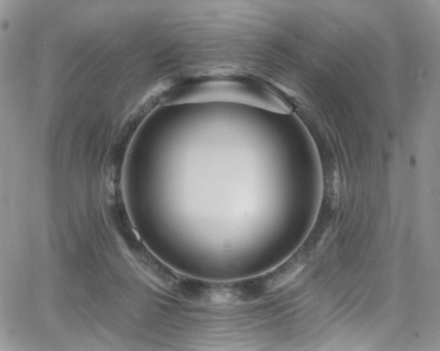 X0000062140264200512091222