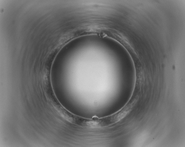 X0000062140265200512091222