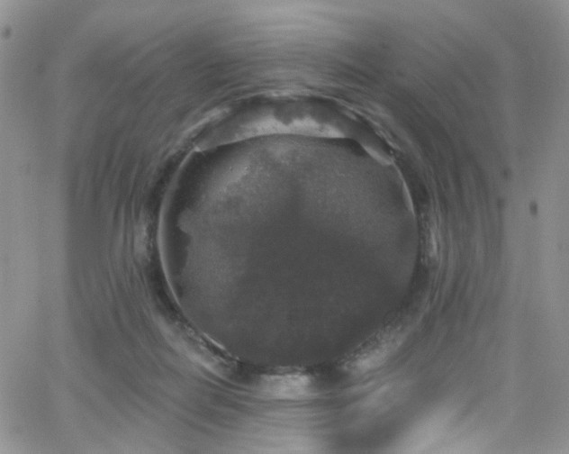 X0000062140266200512091222