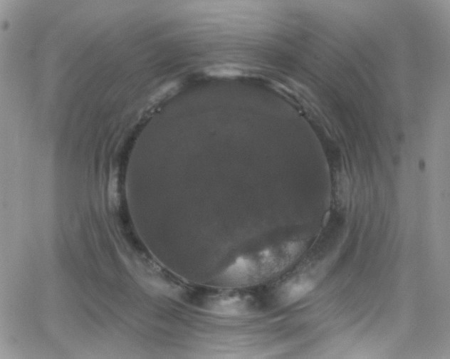 X0000062140267200512091222