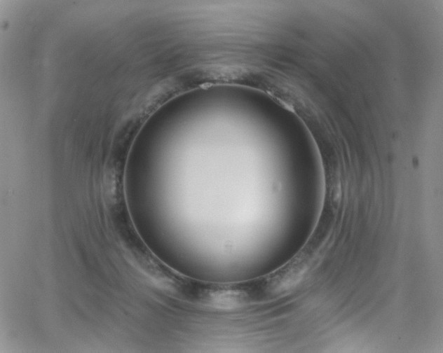 X0000062140268200512091222