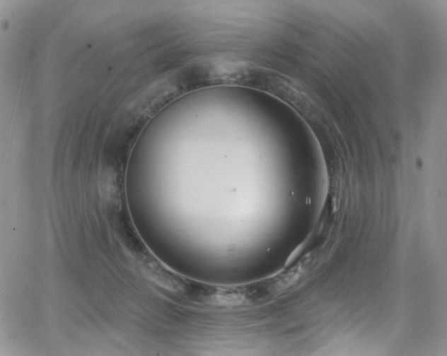 X0000062140270200512091222