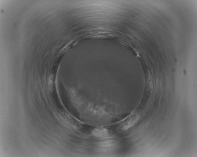 X0000062140271200512091222