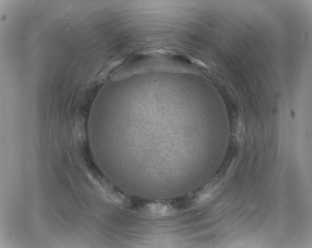 X0000062140272200512091223