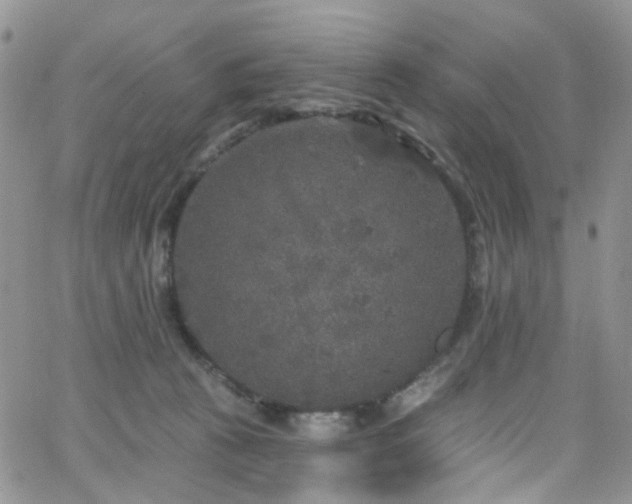 X0000062140273200512091223