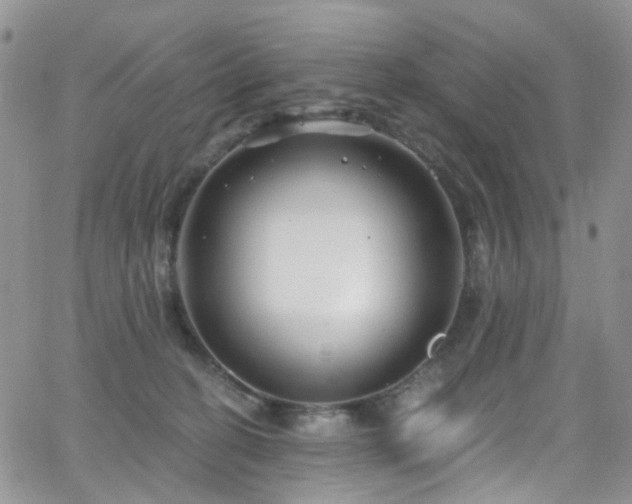 X0000062140274200512091223