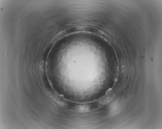 X0000062140275200512091223