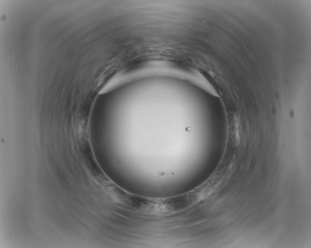 X0000062140276200512091223