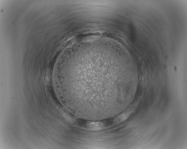 X0000062140277200512091223