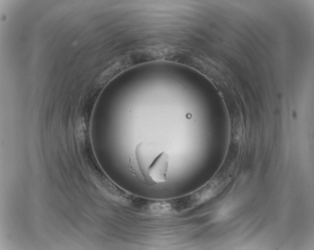 X0000062140279200512091223