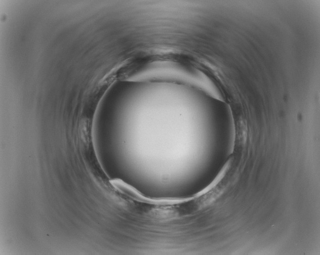 X0000062140280200512091223