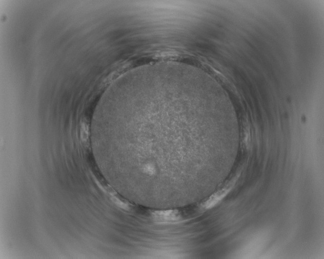 X0000062140281200512091223