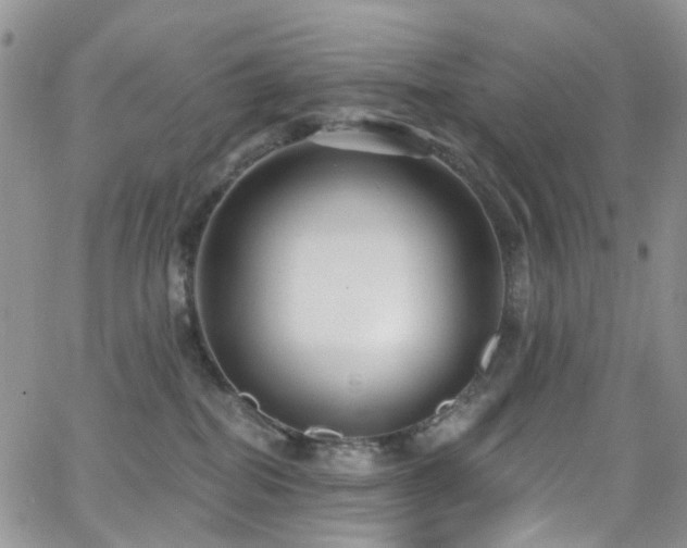 X0000062140282200512091223