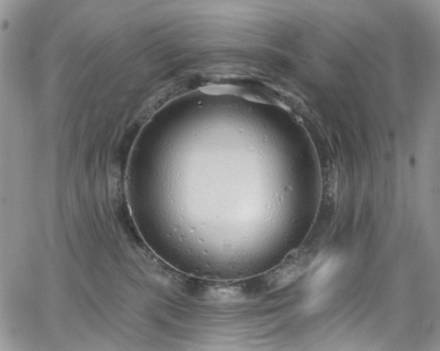 X0000062140283200512091223