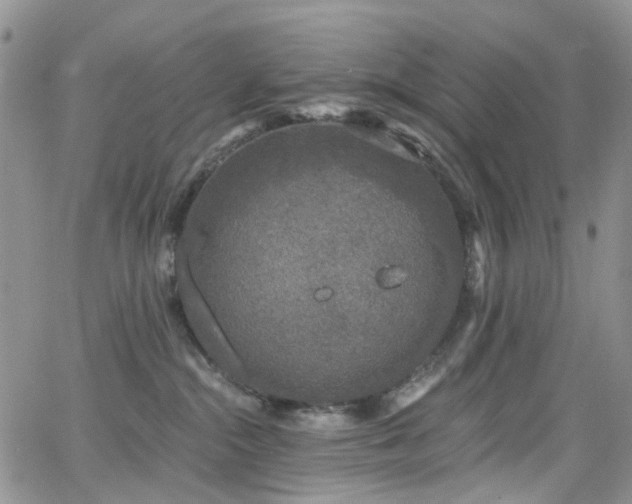 X0000062140284200512091223