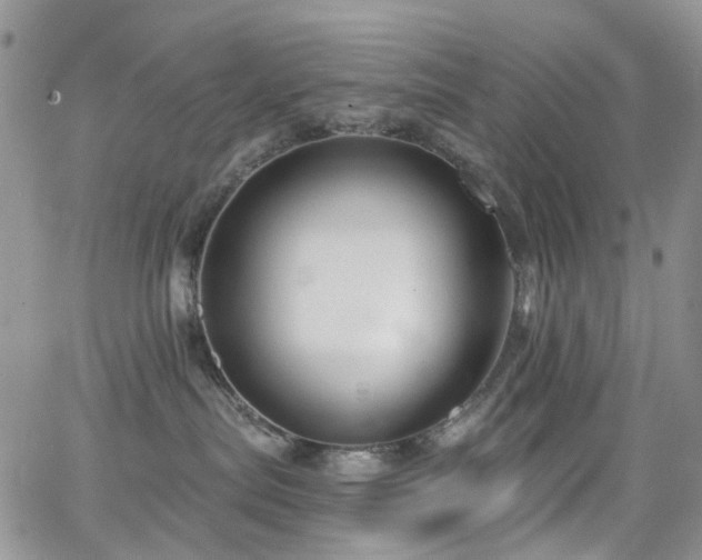 X0000062140287200512091223