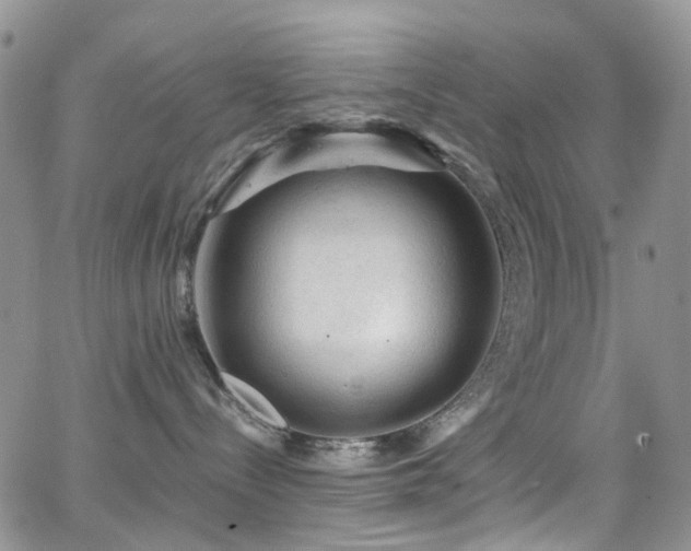 X0000062140288200512091223