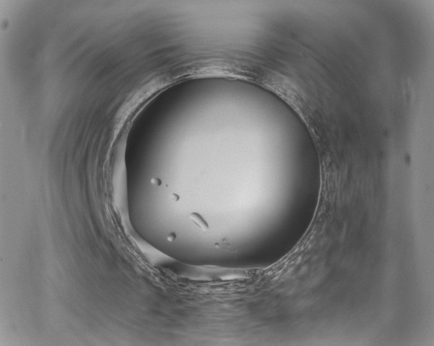 X0000062140289200512091222