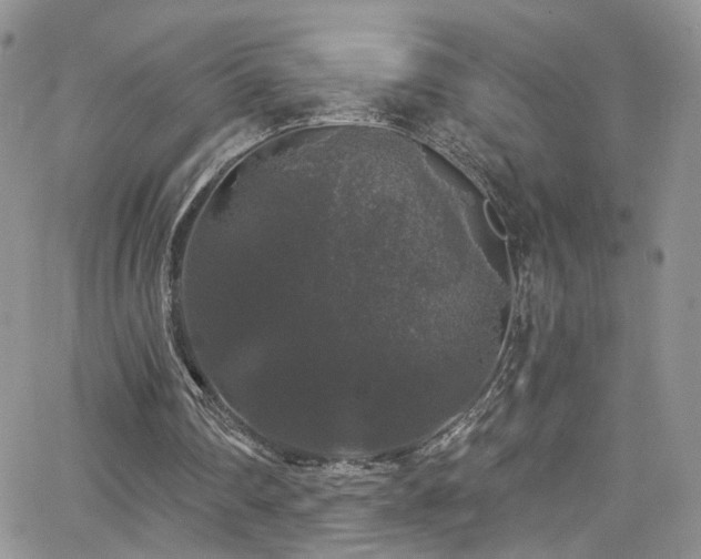 X0000062140290200512091222