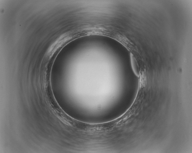 X0000062140291200512091222