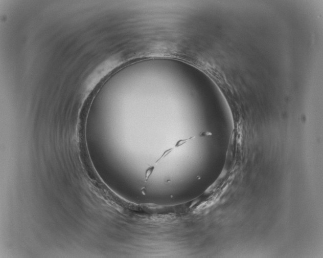 X0000062140292200512091222