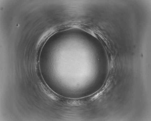 X0000062140293200512091222