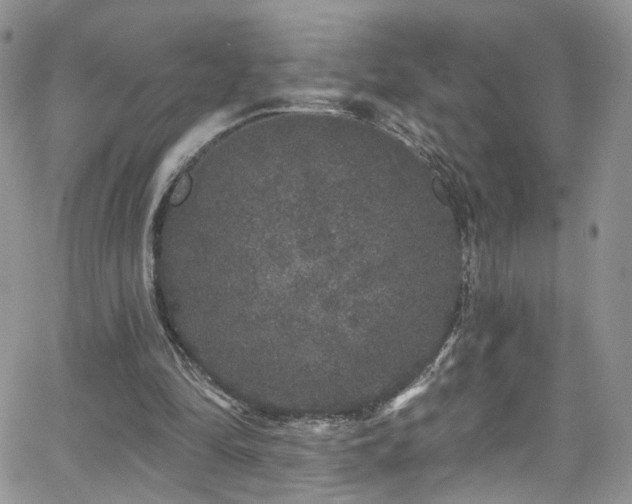 X0000062140294200512091222