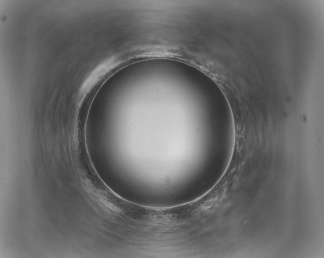 X0000062140296200512091222