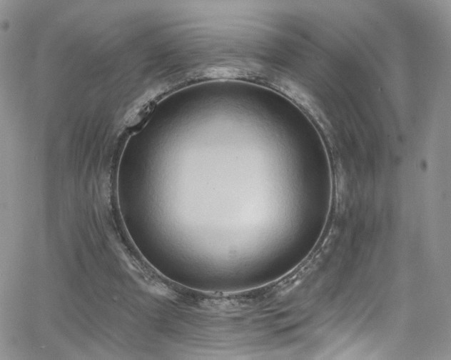 X0000062140297200512091222