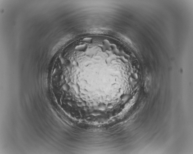 X0000062140299200512091222