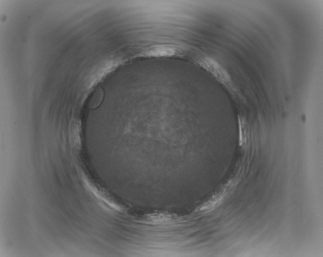 X0000062140300200512091222