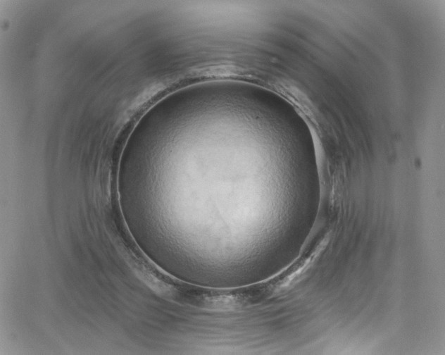 X0000062140301200512091222