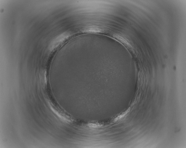 X0000062140302200512091222