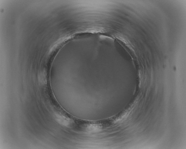 X0000062140303200512091222