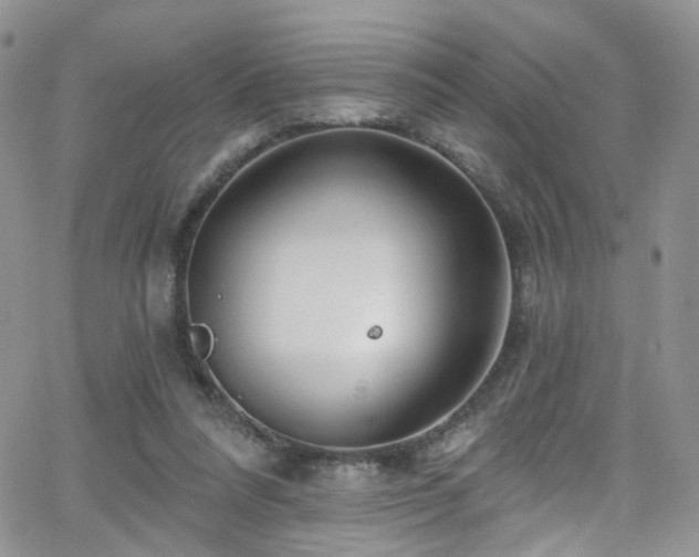 X0000062140304200512091222