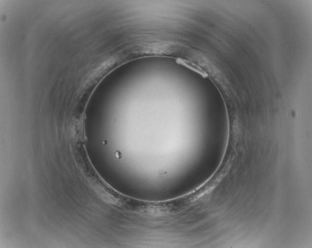 X0000062140305200512091222