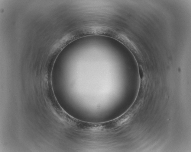 X0000062140306200512091222