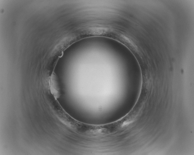 X0000062140307200512091222